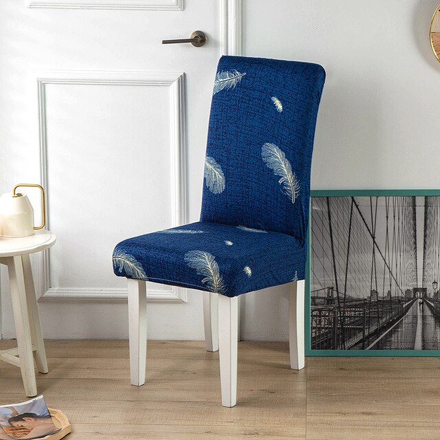 Blått Fjærkledd Stoltrekk