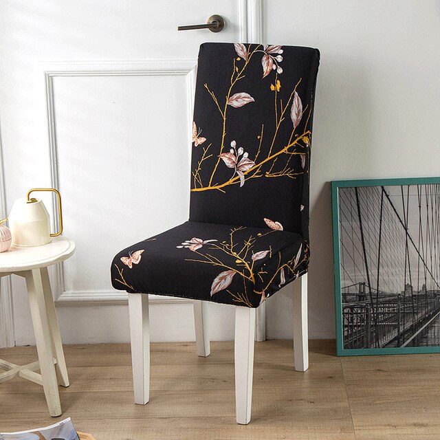 Black Branch Stoltrekk